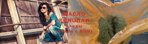 мет Дмитриев