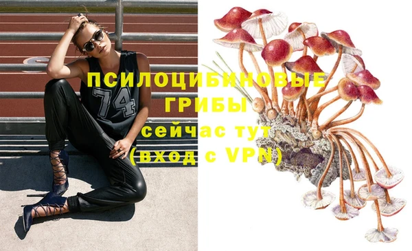 мет Дмитриев