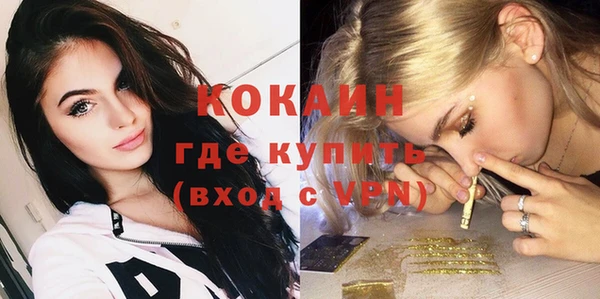 мет Дмитриев