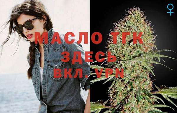 мет Дмитриев
