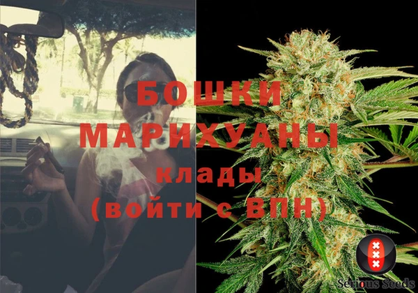 мет Дмитриев