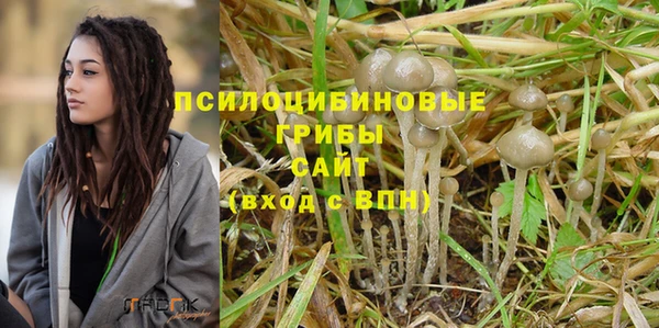 мескалин Дмитров
