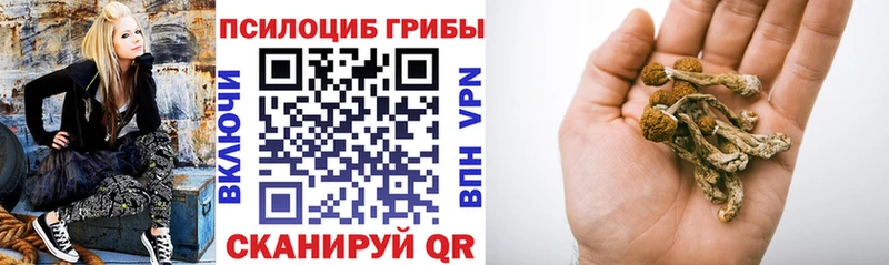 мега ONION  Пионерский  Псилоцибиновые грибы Magic Shrooms 