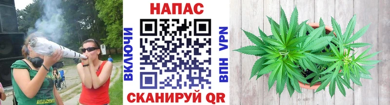 KRAKEN ссылка  закладка  Пионерский  маркетплейс наркотические препараты  Каннабис Bruce Banner 